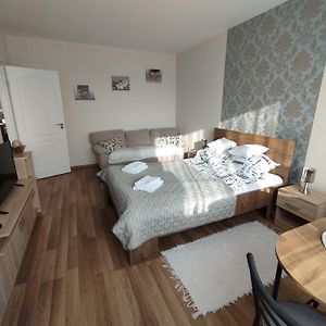 Appartement met een Slaapkamer